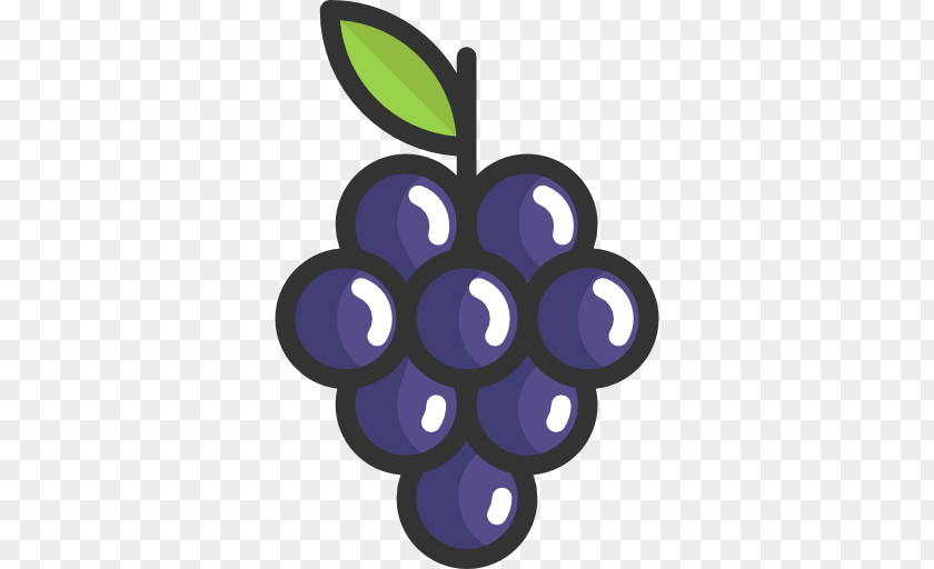 Grapes Vector Common Grape Vine Wine Food Fruit PNG