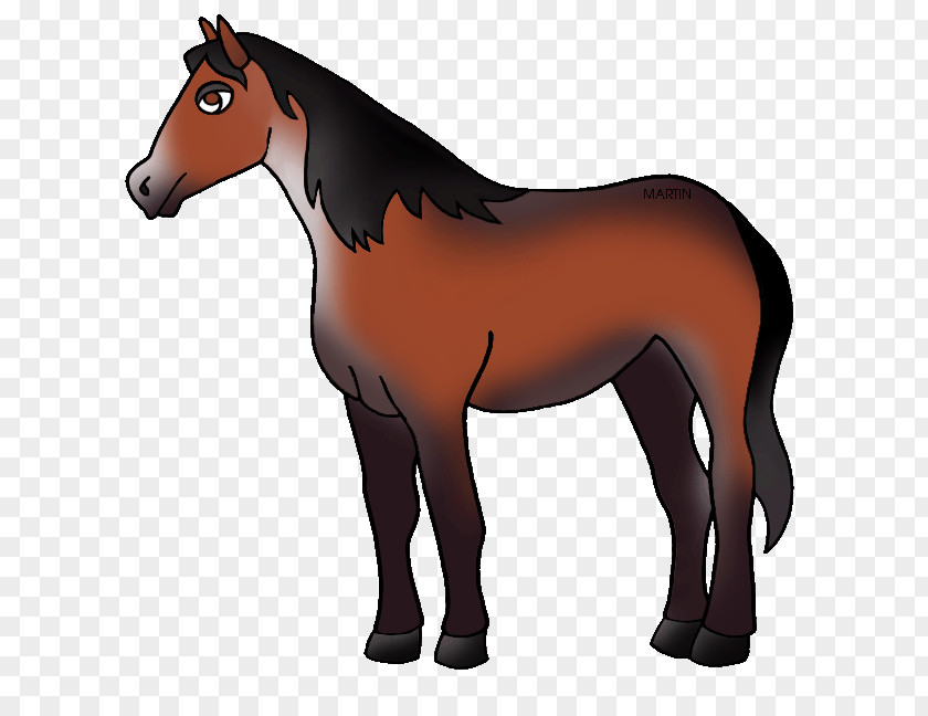 Honorary Cliparts Nokota Horse United States Mule Clip Art PNG