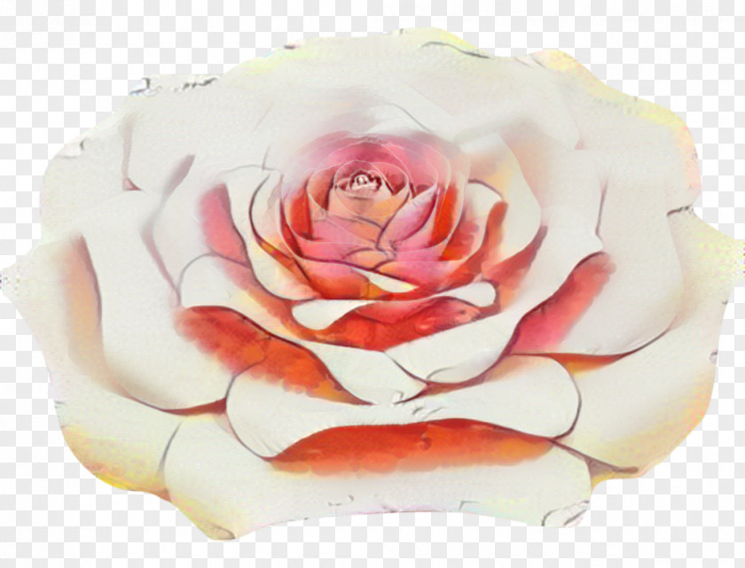Japanese Camellia Wedding Floral Background PNG