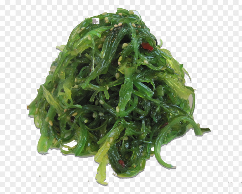 RONG Spinach Namul Green Laver Recipe Rapini PNG