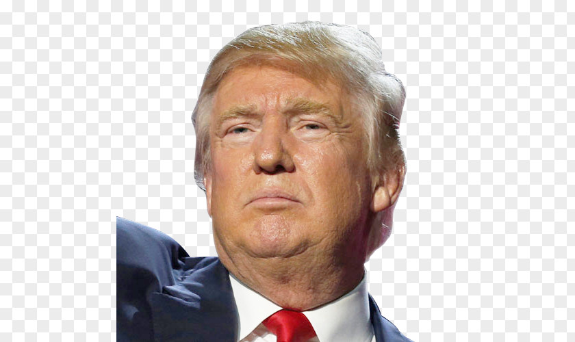 Trump Donald President Of The United States US Presidential Election 2016 Essay PNG