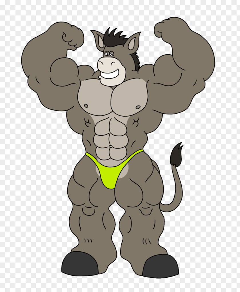 Bodybuilding Tiger Muscle Cat Horse PNG