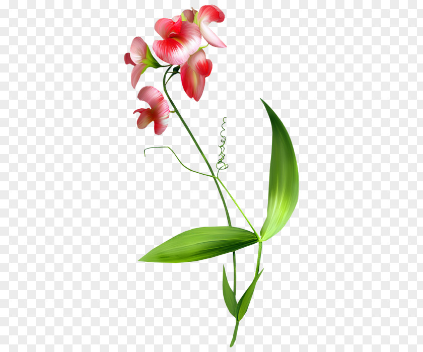 Flower Blume Clip Art PNG