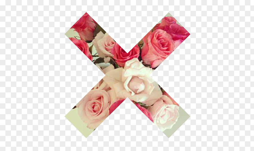 Folwer Love Rose Desktop Wallpaper Flower PNG