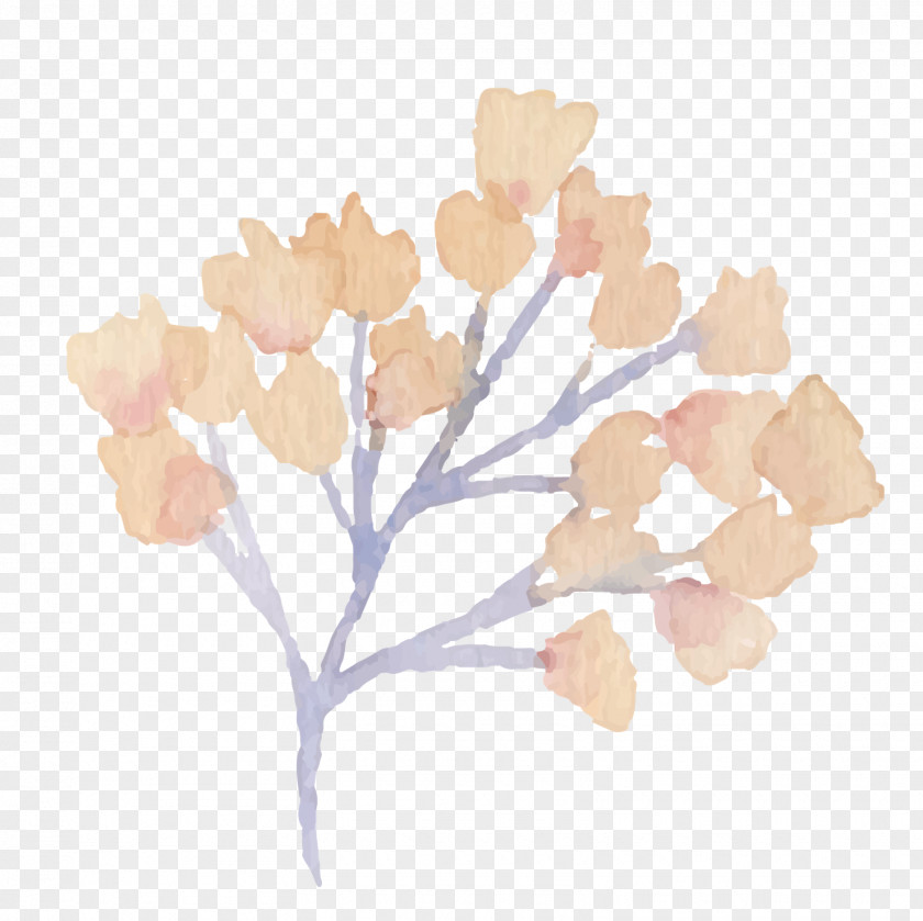 Magnolia Flower Pattern Material Petal Branching Peach PNG