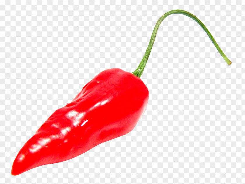 Red Chili Pepper Habanero Tabasco Serrano PNG
