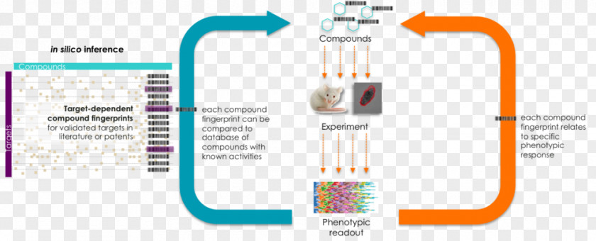 Technology Artificial Intelligence Company Research And Development Doctorate PNG