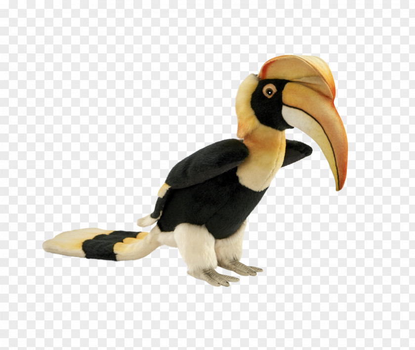 Toucan Hornbill Beak Fauna Figurine PNG