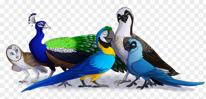 Bird Parrot Spix's Macaw Goose PNG
