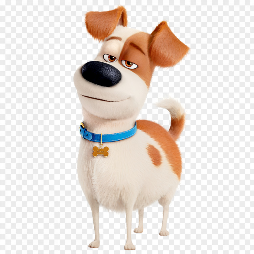 Dog Max Universal Pictures Pet Gidget PNG