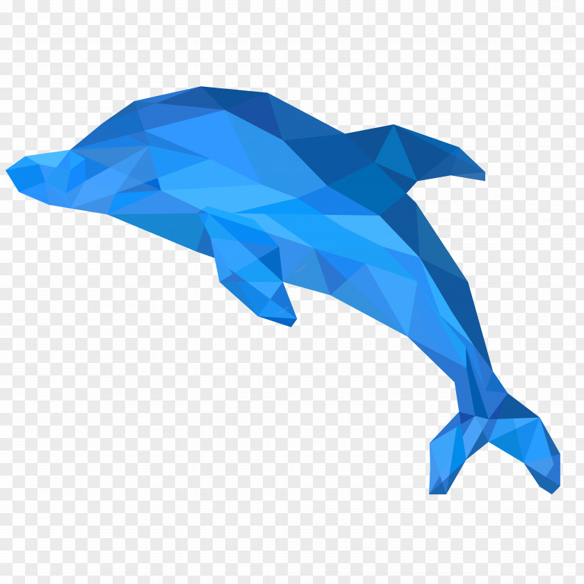 Electric Blue Common Dolphins Dolphin Cartoon PNG