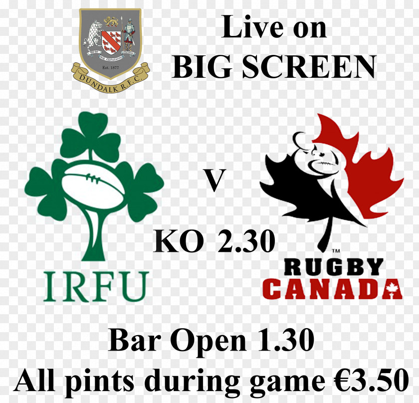 St David's Cathedral Irish Rugby Football Union Ulster 2019 Six Nations Championship PNG