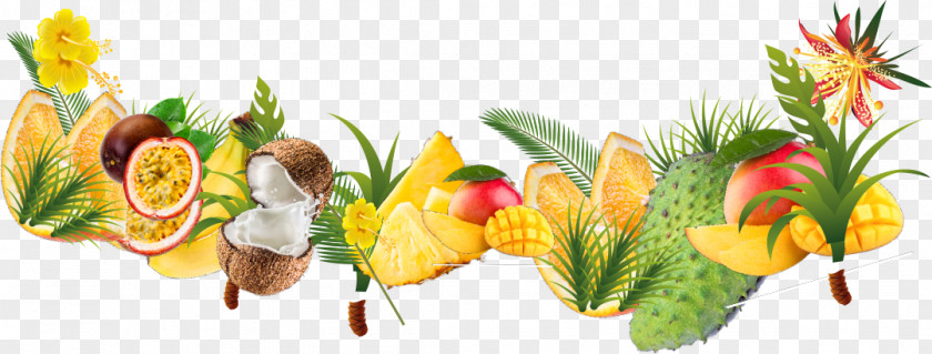 Tropical Fruit Rainforest Tropics PNG