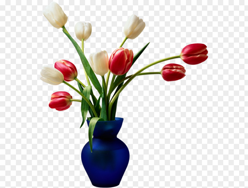 Tulip Wedding Dress Desktop Wallpaper Flower PNG
