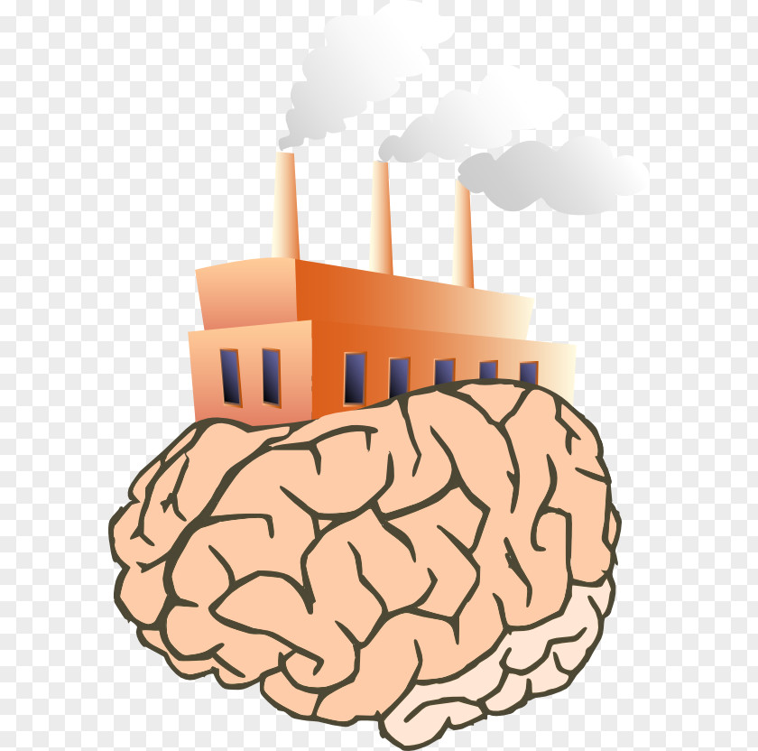 Brain Human Clip Art PNG