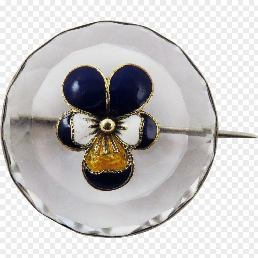 Brooch Insect Pollinator Invertebrate Membrane PNG