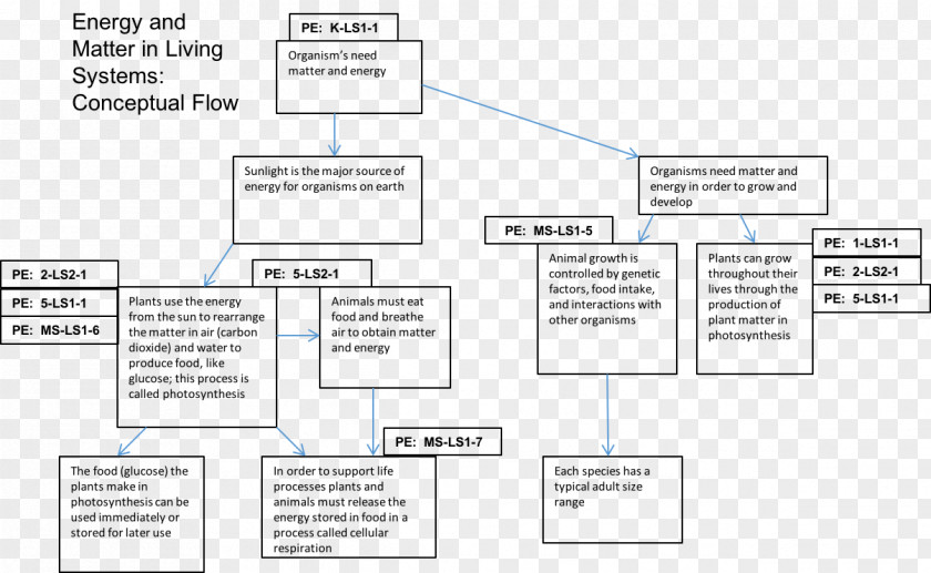 Cellular Chart Respiration Chemistry Concept Flowchart Diagram PNG