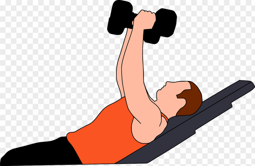 Exercise Clip Art PNG