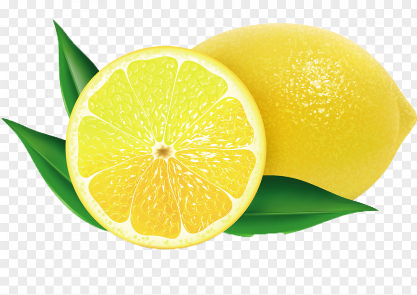 Fresh Lemon Juice Lemon-scented Gum Dessert Food PNG