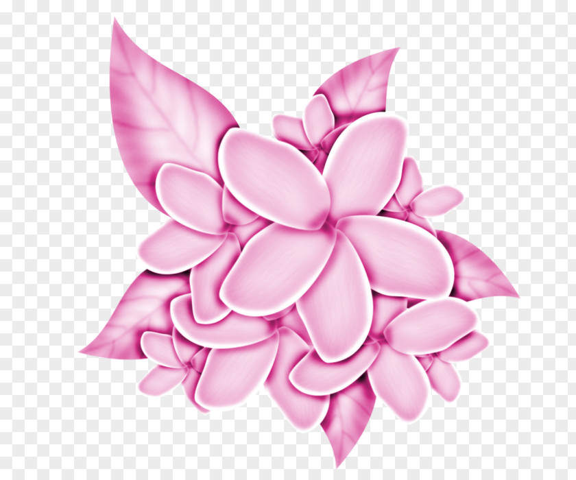 Lotus Family Magnolia Pink Flower Cartoon PNG