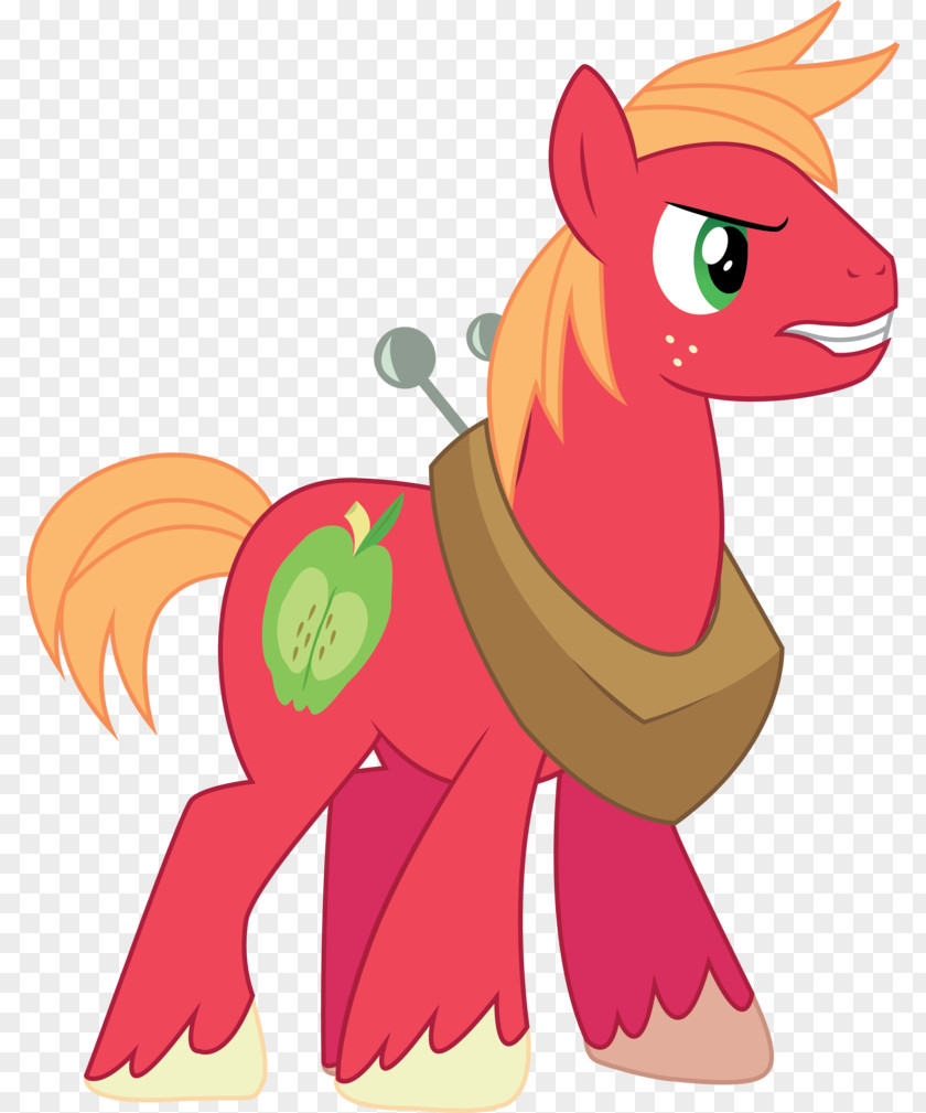 Pony Big McIntosh Rainbow Dash Pinkie Pie PNG
