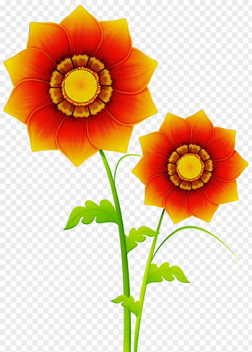 Wildflower Plant Stem Floral Design PNG