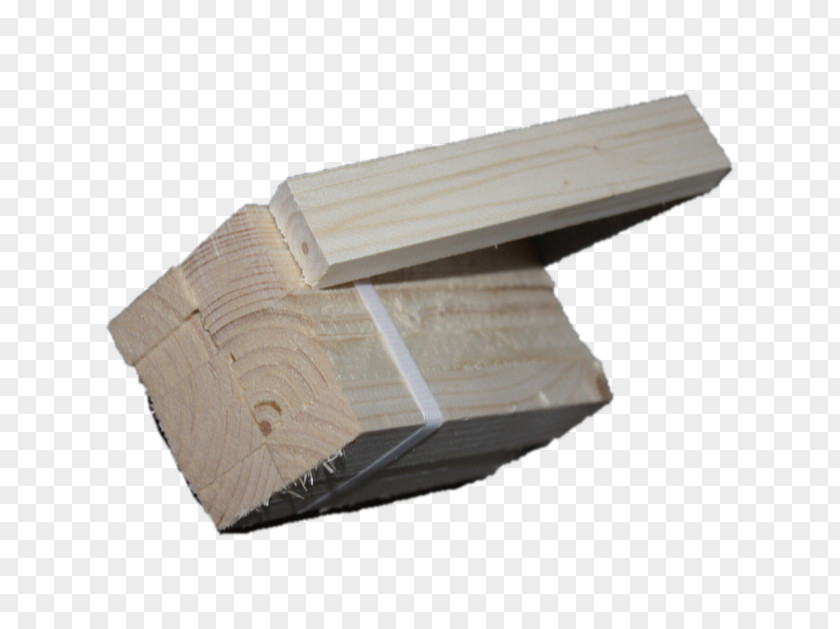 Wood Sentricon Termite Bait Construction En Bois PNG