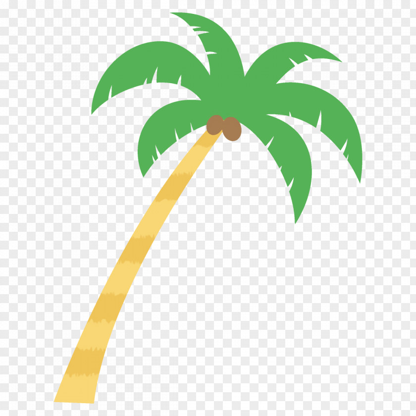 Woody Plant Palm Tree PNG