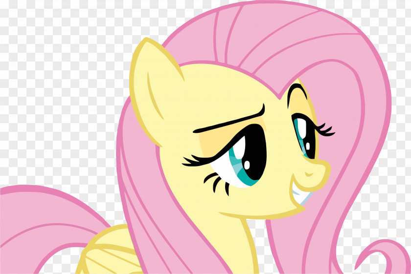 Youtube Pony Rainbow Dash Fluttershy YouTube Equestria Daily PNG