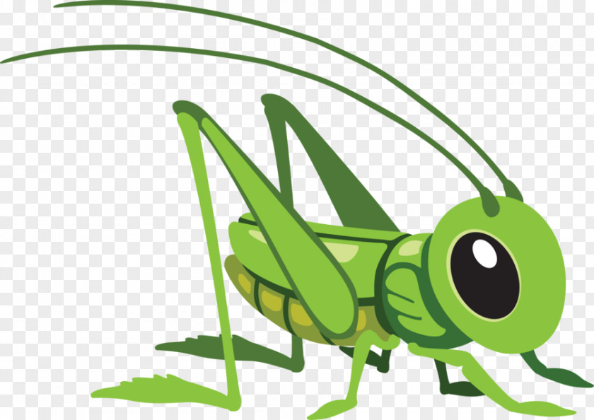 Hand-painted Grasshopper Cartoon Royalty-free Clip Art PNG