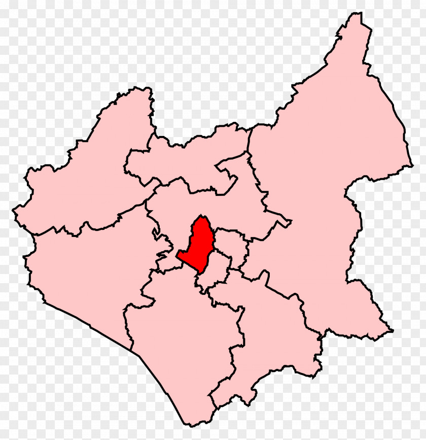 Leicester South By-election, 2011 West East PNG
