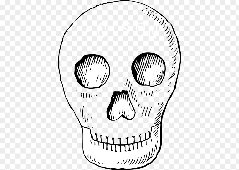 Skeleton Head Cliparts Calavera Skull Clip Art PNG