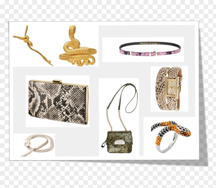 Snake Handbag Brand PNG