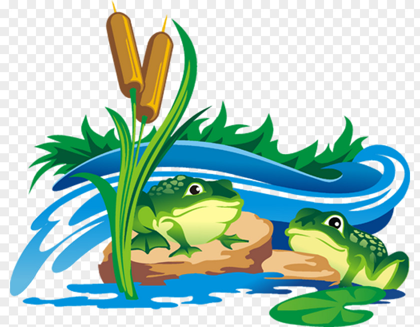 Toad Aquarium Decor Prince Cartoon PNG