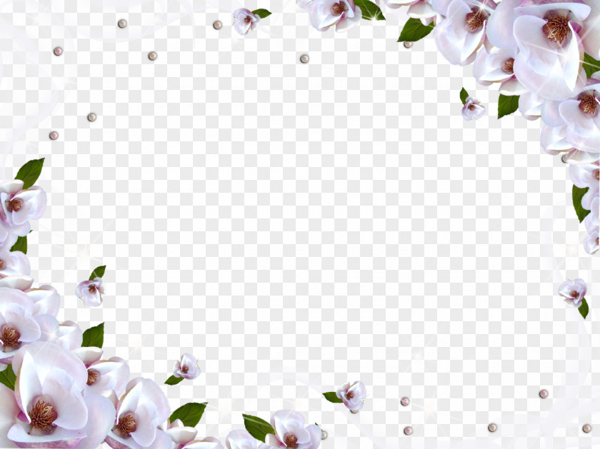 White Flower Frame Image Wallpaper PNG