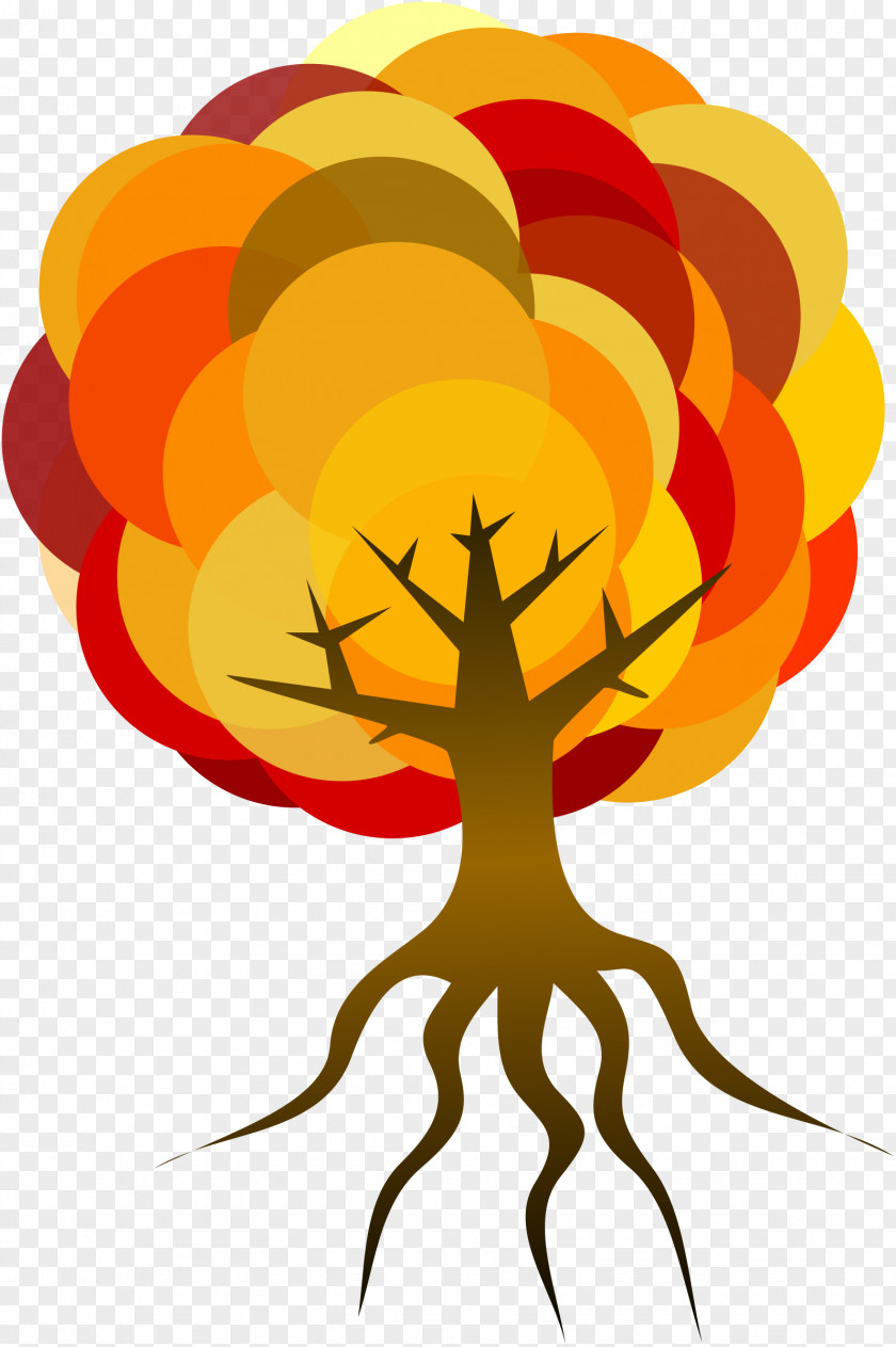 Fir-tree Tree Root Branch Clip Art PNG