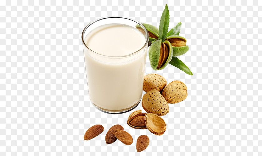 Latte Almond Milk Plant Substitute Cream PNG