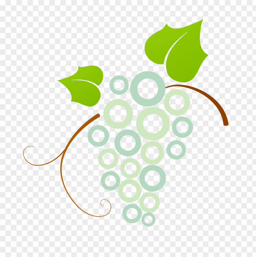 Leaf Grape Grapevine Family Plant Line PNG