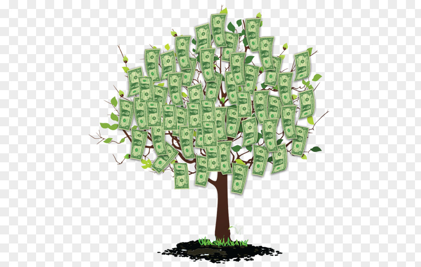 Money Tree Wealth Finance Plant PNG
