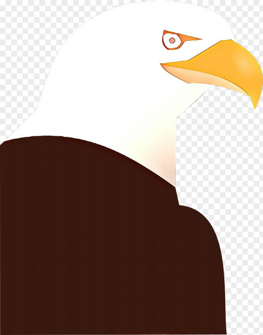 Piciformes Vulture Sea Bird PNG