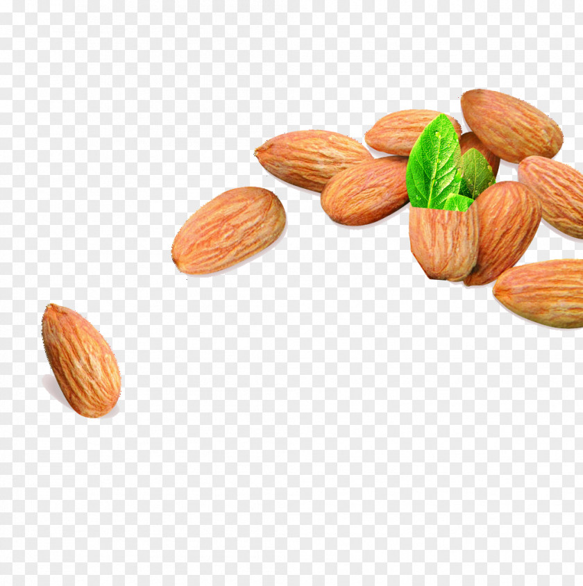 Almond Nuts Picture Download Macaroon Nut Apricot Kernel Biscuit Vegetarian Cuisine PNG