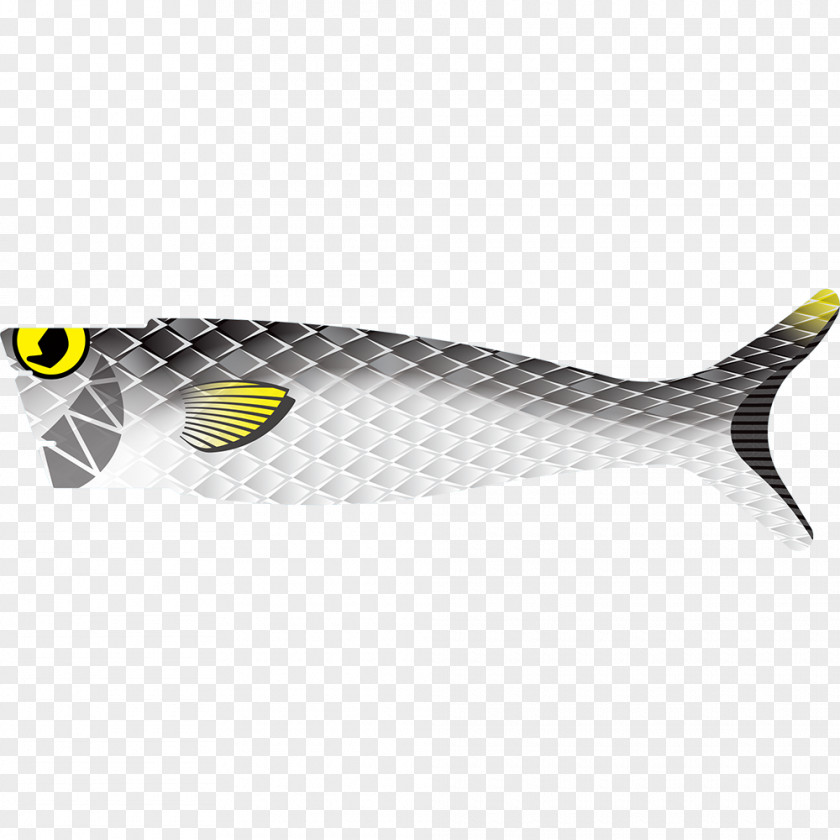Fish Milkfish Herring PNG