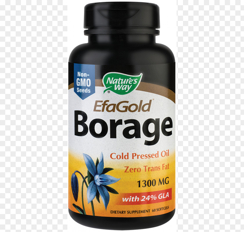 Oil Dietary Supplement Borage Seed Gamma-Linolenic Acid Softgel PNG