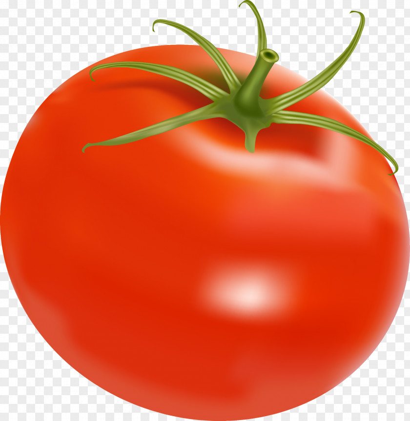 Tomato Chili Con Carne Vegetable Clip Art PNG