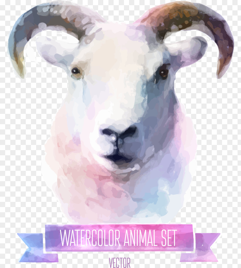 Vector Colored Goat Watercolor Painting Cuteness Illustration PNG