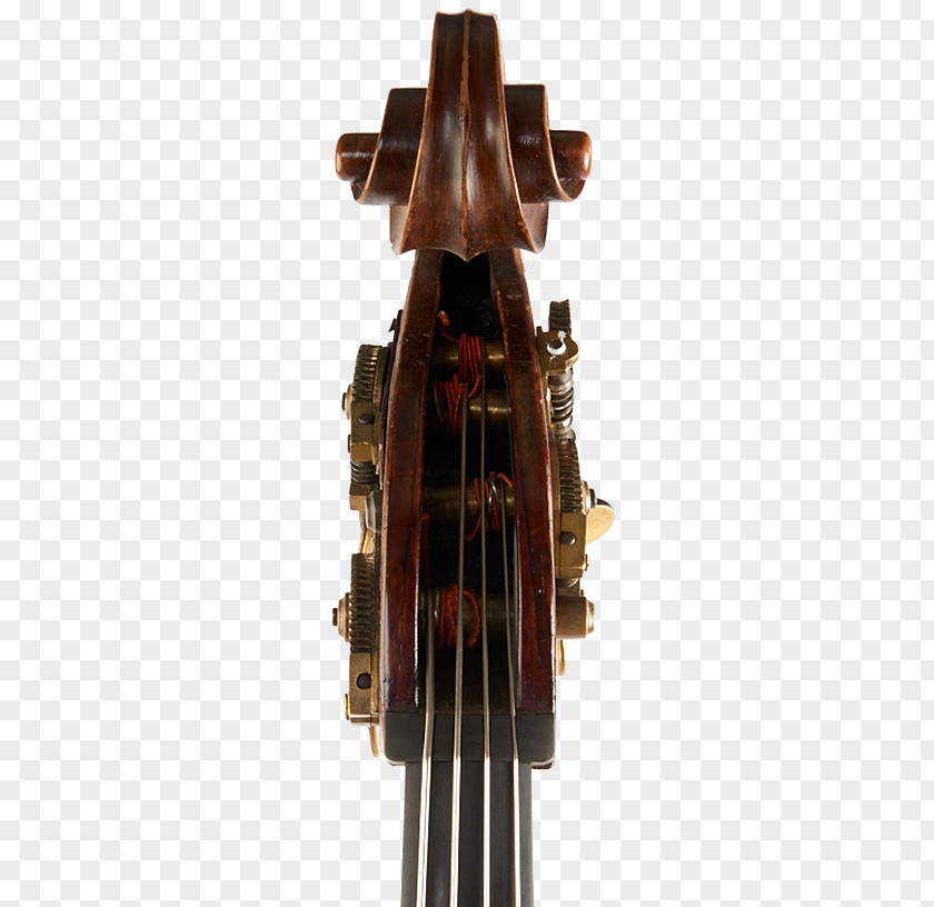 Violin Cello Double Bass Volaris PNG