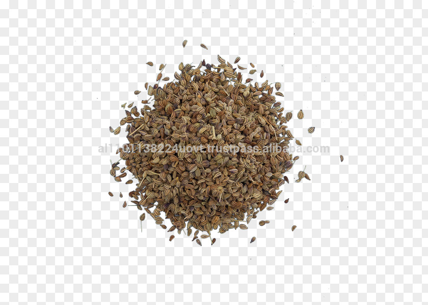 Ajwain Spice Bratwurst Ingredient Herb PNG