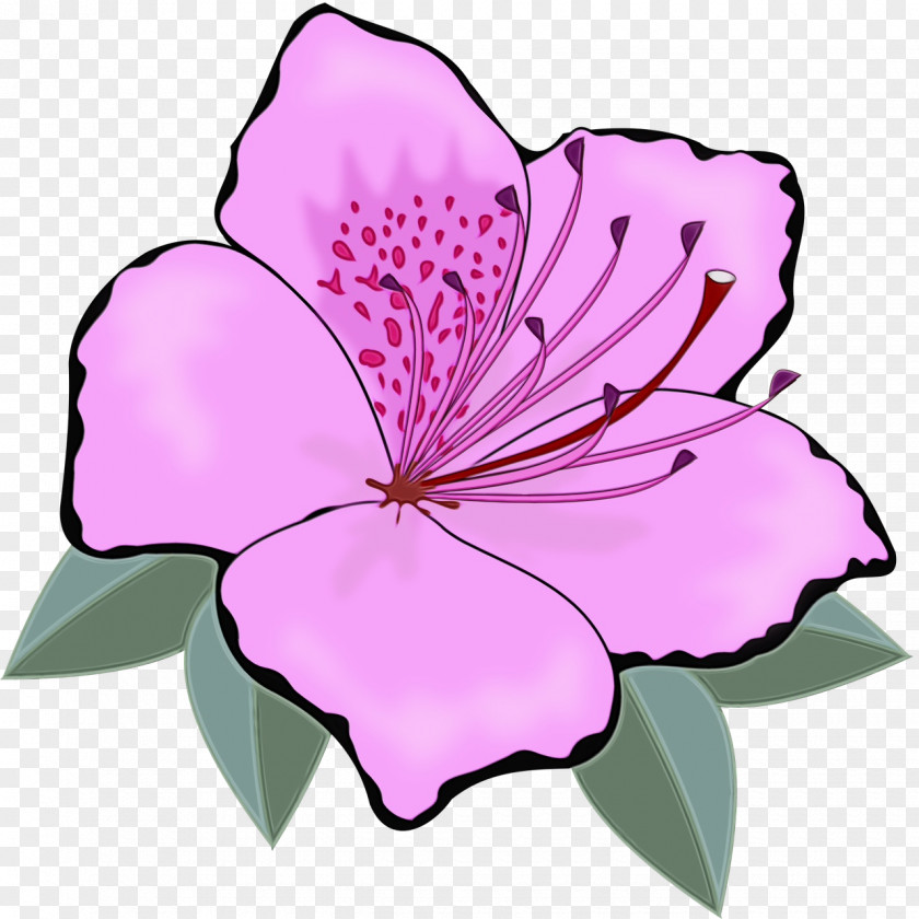 Azalea Wildflower Floral Design PNG