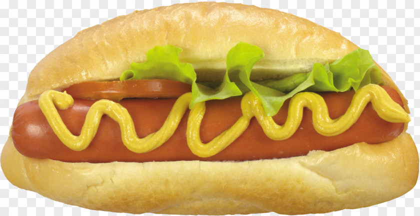 Hot Dog Fast Food Hamburger Pizza KFC PNG