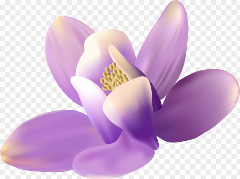 Lilac Flower Preview Clip Art PNG